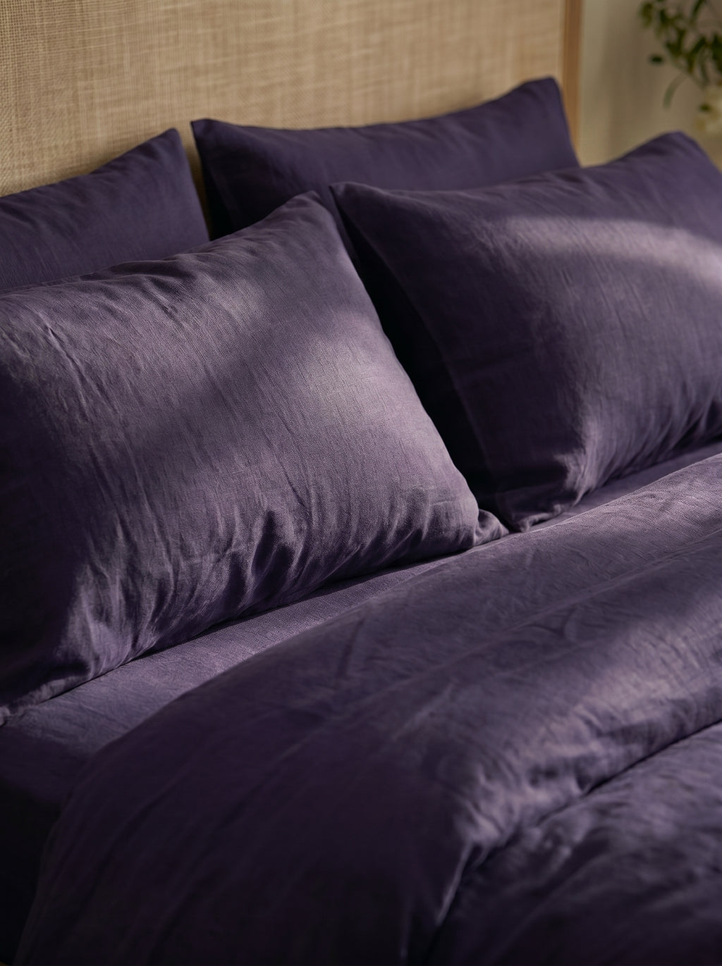 Lavender Bloom Pillow Cover