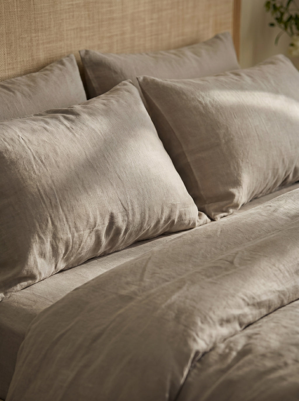 Silver Canvas
