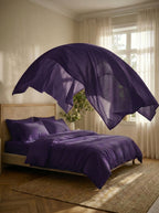Lavender Bloom
